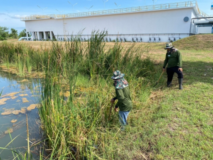 ไฟล์แนบ กปภ.สาขาท่ามะกา ทำกิจกรรม 5 ส. ภายในพื้นที่บริเวณสถานีผลิตน้ำท่าม่วง ปรับภูมิทัศน์ ทำความสะอาด ตัดแต่งต้นไม้ ตัดหญ้า ฯลฯ เพื่อสร้างภาพลักษณ์ที่ดีของหน่วยงาน ให้มีความน่าอยู่ และปลอดภัย วันที่ 21 สิงหาคม 2566