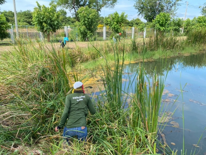 ไฟล์แนบ กปภ.สาขาท่ามะกา ทำกิจกรรม 5 ส. ภายในพื้นที่บริเวณสถานีผลิตน้ำท่าม่วง ปรับภูมิทัศน์ ทำความสะอาด ตัดแต่งต้นไม้ ตัดหญ้า ฯลฯ เพื่อสร้างภาพลักษณ์ที่ดีของหน่วยงาน ให้มีความน่าอยู่ และปลอดภัย วันที่ 21 สิงหาคม 2566