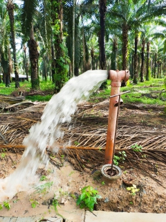 ไฟล์แนบ การประปาส่วนภูมิภาคสาขาท่าแซะ ดำเนินการตามแผนงานบริการและควบคุมน้ำสูญเสีย ลงพื้นที่ดำเนินการระบายตะกอนในเส้นท่อจ่ายน้ำ (Blow off) ผ่านหัวดับเพลิง