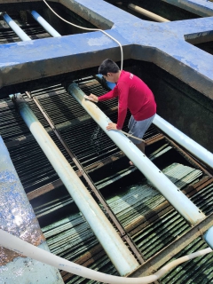 ไฟล์แนบ กปภ.สาขาอู่ทอง ล้างถังตกตะกอนประจำเดือน สิงหาคม 2566  ณ สถานีผลิตน้ำแม่ข่ายอู่ทอง และสถานีผลิตน้ำสระยายโสม