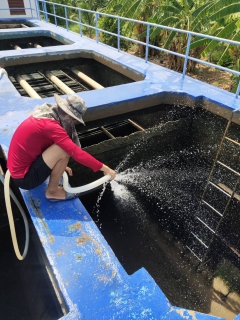 ไฟล์แนบ กปภ.สาขาอู่ทอง ล้างถังตกตะกอนประจำเดือน สิงหาคม 2566  ณ สถานีผลิตน้ำแม่ข่ายอู่ทอง และสถานีผลิตน้ำสระยายโสม