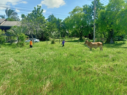 ไฟล์แนบ กปภ.สาขาสุราษฎร์ธานี (พ) ออกสำรวจค้นหาท่อแตกรั่วเพื่อเพิ่มประสิทธิภาพในการส่งจ่ายน้ำประปา และลดน้ำสูญเสีย