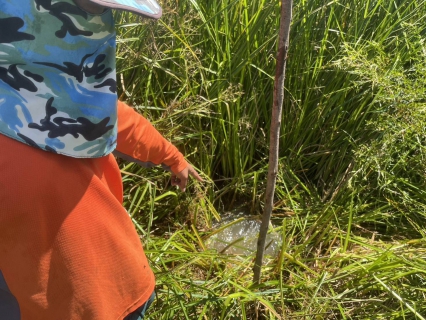 ไฟล์แนบ กปภ.สาขาสุราษฎร์ธานี (พ) ออกสำรวจค้นหาท่อแตกรั่วเพื่อเพิ่มประสิทธิภาพในการส่งจ่ายน้ำประปา และลดน้ำสูญเสีย