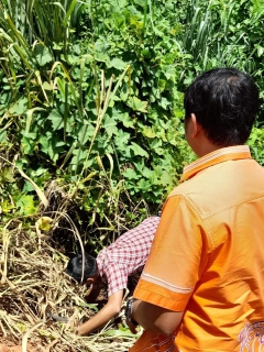 ไฟล์แนบ การประปาส่วนภูมิภาคสาขากาญจนดิษฐ์ ดำเนินการตรวจสอบ หาท่อแตกท่อรั่ว บ้านเขาแก้ว ตำบลทุ่งกง เพื่อค้นท่อแตกท่อรั่วและเพิ่มปริมาณน้ำจ่ายให้ลูกค้า