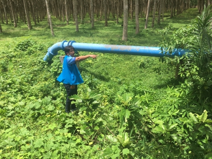 ไฟล์แนบ กปภ.สาขากระบี่ ดำเนินงานตามแผนบริหารจัดการน้ำสูญเสียเชิงรุก เดินหน้าลงพื้นที่ หมู่ที่ 6 ตำบลอ่าวนาง และหมู่ที่ 1,2,6 ตำบลหนองทะเล อำเภอเมือง จังหวัดกระบี่ เดินเท้าหาท่อแตกรั่ว พร้อมซ่อมปิดจุด เพื่อลดการเกิดน้ำสูญเสีย 