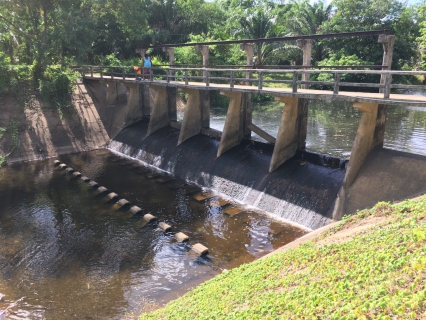ไฟล์แนบ การประปาส่วนภูมิภาคสาขากาญจนดิษฐ์ ดำเนินการรื้อขยะและเปิดทางน้ำเพื่อแก้ปัญหาน้ำคลองกะแดะ ไหลน้อยและมีขยะขวางทางน้ำ
