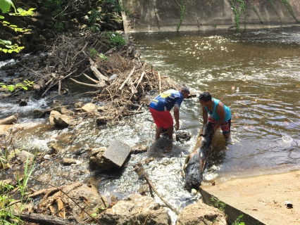ไฟล์แนบ การประปาส่วนภูมิภาคสาขากาญจนดิษฐ์ ดำเนินการรื้อขยะและเปิดทางน้ำเพื่อแก้ปัญหาน้ำคลองกะแดะ ไหลน้อยและมีขยะขวางทางน้ำ