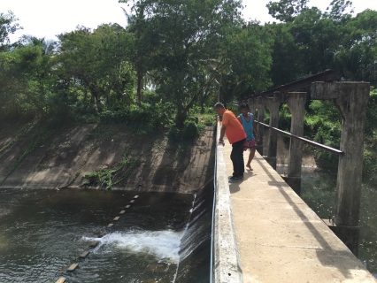 ไฟล์แนบ การประปาส่วนภูมิภาคสาขากาญจนดิษฐ์ ดำเนินการรื้อขยะและเปิดทางน้ำเพื่อแก้ปัญหาน้ำคลองกะแดะ ไหลน้อยและมีขยะขวางทางน้ำ