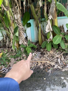 ไฟล์แนบ กปภ.สาขากำแพงเพชร ลุย ! หาท่อแตกรั่วกลางวัน พบ 6 จุด ซ่อมเร่งด่วน