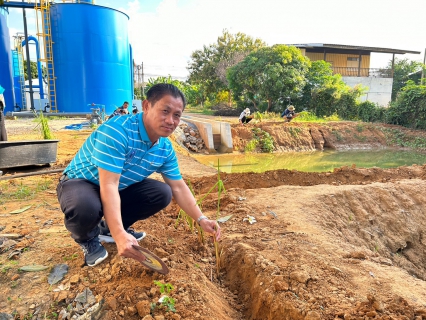ไฟล์แนบ การประปาส่วนภูมิภาคสาขาปราณบุรี  ดำเนินการปลูกหญ้าแฝก เพื่อป้องกันการพังทลายของคันกั้นดิน และอนุรักษ์แหล่งน้ำ ซึ่งเป็นหัวใจในการผลิตน้ำประปา 