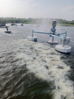 ไฟล์แนบ กปภ.สาขาบ้านไผ่ลงพื้นที่ตรวจสอบคุณภาพน้ำสร้างความมั่นใจให้ผู้บริโภค