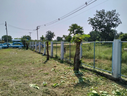 ไฟล์แนบ กปภ.สาขาท่ามะกา ทำกิจกรรม 5 ส. ภายในพื้นที่บริเวณสถานีผลิตน้ำท่าม่วง ปรับภูมิทัศน์ ทำความสะอาด ตัดแต่งต้นไม้ ตัดหญ้า ฯลฯ เพื่อสร้างภาพลักษณ์ที่ดีของหน่วยงาน ให้มีความน่าอยู่ และปลอดภัย วันที่ 20 ตุลาคม 2566