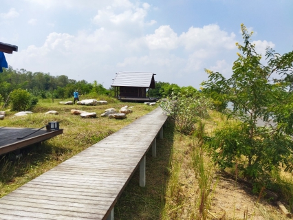 ไฟล์แนบ กปภ.สาขารังสิต(พ)ร่วมกิจกรรมจิตอาสาพัฒนาความสะอาดโครงการ โคก หนอง นา ณ สถานปฏิบัติธรรมสมเด็จพระสังฆราช (อมฺพรมหาเถร)