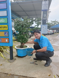 ไฟล์แนบ การประปาส่วนภูมิภาคสาขาปากน้ำประแสร์ จัดกิจกรรมวันรักต้นไม้ประจำปีของชาติ