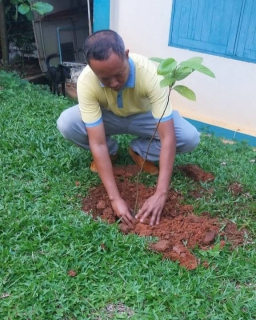 ไฟล์แนบ การประปาส่วนภูมิภาคสาขาเขาชัยสน ร่วมกันจัดกิจกรรมปลูกต้นไม้ เนื่องใน วันรักต้นไม้ประจำปีของชาติ 