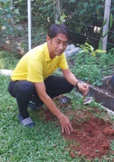 ไฟล์แนบ การประปาส่วนภูมิภาคสาขาเขาชัยสน ร่วมกันจัดกิจกรรมปลูกต้นไม้ เนื่องใน วันรักต้นไม้ประจำปีของชาติ 