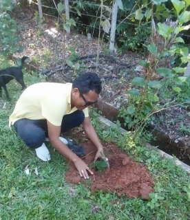 ไฟล์แนบ การประปาส่วนภูมิภาคสาขาเขาชัยสน ร่วมกันจัดกิจกรรมปลูกต้นไม้ เนื่องใน วันรักต้นไม้ประจำปีของชาติ 