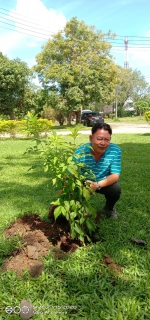 ไฟล์แนบ พนักงานร่วมปลูกต้นไม้