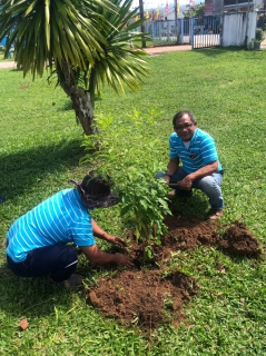 ไฟล์แนบ พนักงานร่วมปลูกต้นไม้