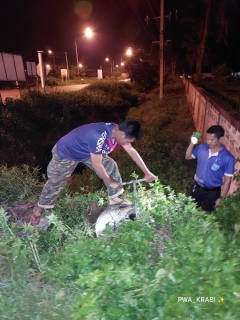 ไฟล์แนบ กปภ.สาขากระบี่ ดำเนินงานตามแผนบริหารจัดการน้ำสูญเสียเชิงรุก เดินหน้าลงพื้นที่ื้ทำ Step Test MM08/DM12-01-สถานีผลิตและจ่ายน้ำเขาพนม ตำบลเขาพนม อำเภอเขาพนม จังหวัดกระบี่ เดินเท้าหาท่อแตกรั่ว พร้อมซ่อมปิดจุด เพื่อลดการเกิดน้ำสูญเสีย 