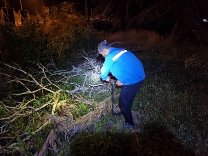 ไฟล์แนบ กปภ.สาขาปากพนัง ลงพื้นที่เดินสำรวจหาท่อแตก/ท่อรั่ว จากการทำ step test  ตามแผนลดน้ำสูญเสีย บริเวณพื้นที่เกาะนางโดย ต.ปากพนังฝั่งตะวันตก ต.คลองกระบือ ต.คลองน้อย อ.ปากพนัง จ.นครศรีธรรมราช  