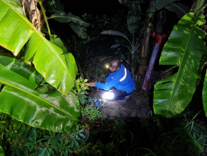 ไฟล์แนบ กปภ.สาขาปากพนัง ลงพื้นที่เดินสำรวจหาท่อแตก/ท่อรั่ว จากการทำ step test  ตามแผนลดน้ำสูญเสีย บริเวณพื้นที่เกาะนางโดย ต.ปากพนังฝั่งตะวันตก ต.คลองกระบือ ต.คลองน้อย อ.ปากพนัง จ.นครศรีธรรมราช  