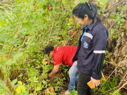 ไฟล์แนบ กปภ.สาขากระบี่ ดำเนินงานตามแผนบริหารจัดการน้ำสูญเสียเชิงรุก เดินหน้าลงพื้นที่ ตำบลเขาพนม อำเภอเขาพนม จังหวัดกระบี่ เดินเท้าหาท่อแตกรั่ว พร้อมซ่อมปิดจุด เพื่อลดการเกิดน้ำสูญเสีย 