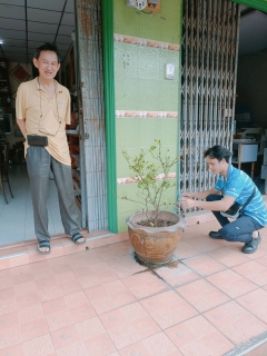 ไฟล์แนบ กปภ.สาขาระนอง ตรวจสอบคุณภาพน้ำ สร้างความเชื่อมั่นกระบวนการผลิตน้ำประปา ประจำเดือน พฤศจิกายน 2566