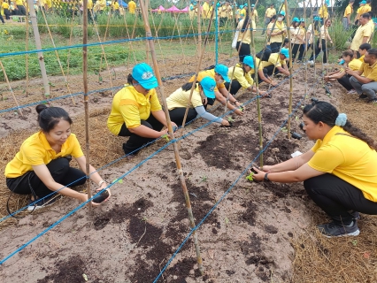 ไฟล์แนบ กปภ.สาขาประจวบคีรีขันธ์ เข้าร่วมกิจกรรมเนื่องในวันคล้ายวันพระบรมราชสมภพ พระบาทสมเด็จพระบรมชนกาธิเบศร มหาภูมิพลอดุลยเดชมหาราช บรมนาถบพิตร วันชาติ และวันพ่อแห่งชาติ 5 ธันวาคม 2566