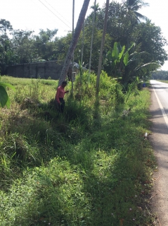 ไฟล์แนบ การประปาส่วนภูมิภาคสาขาจันดี ออกปฏิบัติการค้นหาท่อแตกรั่ว