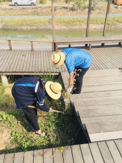 ไฟล์แนบ กปภ.สาขารังสิต(พ) ร่วมกิจกรรมจิตอาสาพัฒนาความสะอาดโครงการ โคก หนอง นา ณ สถานปฏิบัติธรรมสมเด็จพระสังฆราช (อมฺพรมหาเถร)