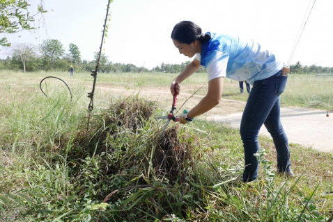 ไฟล์แนบ การประปาส่วนภูมิภาคสาขาปักธงชัย ร่วมจัดกิจกรรม Big Cleaning Day ประจำปีงบประมาณ 2567