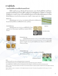 ไฟล์แนบ ขออนุญาตเผยแพร่ รายงานความเชื่อมั่นคุณภาพน้ำแก่ผู้บริโภค (CCR) ของ การประปาส่วน๓มุิภาคสาขาท่ามะกา ประจำปี 2566 ผ่านเกณฑ์มาตรฐาน ซึ่งเป็นไปตามมาตรฐานคุณภาพน้ำประปาของ กปภ. เหมาะแก่การอุปโภคและบริโภคได้อย่างปลอดภัยต่อสุขอนามัย