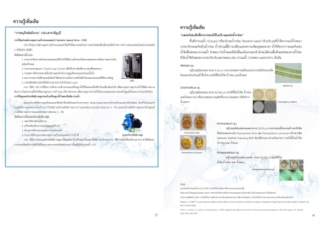 ไฟล์แนบ กปภ.สาขาธัญบุรี รายงานความเชื่อมั่นคุณภาพน้ำประปาแก่ผู้บริโภค (Consumer Confidence Report : CCR) ประจำปี 2567