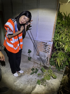 ไฟล์แนบ กิจกรรม" Step Test Day 22 เมษายน 2567" 