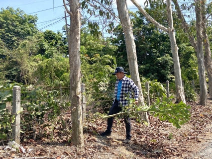 ไฟล์แนบ กปภ.สาขาขลุง จัดกิจกรรม Big Cleaning Day และกิจกรรม 5 ส. ครั้งที่ 4/2567 เพื่อร่วมเฉลิมพระเกียรติพระบาทสมเด็จพระเจ้าอยู่หัว เนื่องในโอกาสพระราชพิธีมหามงคลเฉลิมพระชนมพรรษา 6 รอบ 28 กรกฎาคม 2567