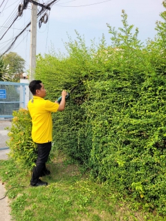 ไฟล์แนบ กปภ.สาขากำแพงเพชร ร่วมกันจัดกิจกรรม Big Cleaning Day เพื่อเฉลิมพระเกียรติพระบาทสมเด็จพระเจ้าอยู่หัว เนื่องในโอกาสพระราชพิธีมหามงคลเฉลิมพระชนมพรรษา 6 รอบ 28 กรกฎาคม 2567