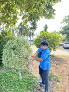 ไฟล์แนบ กปภ.สาขาด่านช้าง จัดกิจกรรม 5 ส. Big Cleaning Day