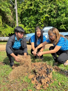 ไฟล์แนบ กปภ.สาขาตราด ดำเนินการจัดโครงการ กปภ.ปลูกป่าเพื่อแผ่นดิน เทิดพระเกียรติพระบาทสมเด็จพระบรมชนกาธิเบศร มหาภูมิพลอดุลยเดชมหาราช บรมนาถบพิตร (Fathers Land) ประจำปี 2567