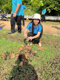 ไฟล์แนบ กปภ.สาขาตราด ดำเนินการจัดโครงการ กปภ.ปลูกป่าเพื่อแผ่นดิน เทิดพระเกียรติพระบาทสมเด็จพระบรมชนกาธิเบศร มหาภูมิพลอดุลยเดชมหาราช บรมนาถบพิตร (Fathers Land) ประจำปี 2567