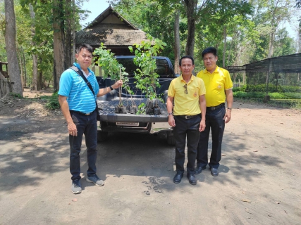 ไฟล์แนบ กปภ.สาขากำแพงเพชร ปลูกป่าเพื่อแผ่นดิน เทิดพระเกียรติในหลวงรัชกาลที่ 9 ปี 2567 