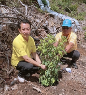 ไฟล์แนบ กปภ.สาขาพยุหะคีรีจัดกิจกรรม กปภ.ปลูกป่าเพื่อแผ่นดิน เทิดพระเกียรติพระบาทสมเด็จพระบรชนกาธิเบศรมหาภูมิพล อดุลยเดชมหาราช