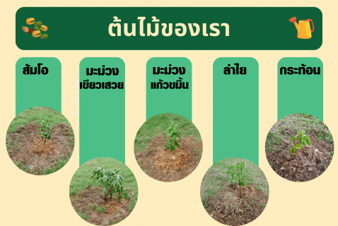 ไฟล์แนบ การประปาส่วนภูมิภาคสาขาปักธงชัย ร่วมเป็นส่วนหนึ่งของโครงการปลูกป่าเพื่อแผ่นดิน  Fathers Land 