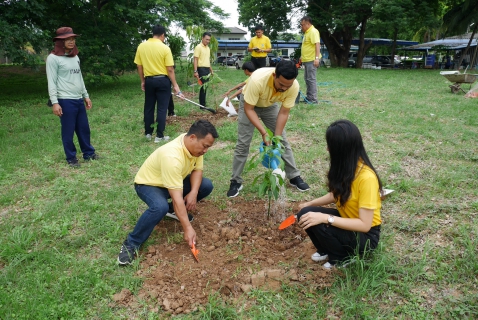 ไฟล์แนบ การประปาส่วนภูมิภาคสาขาปักธงชัย ร่วมเป็นส่วนหนึ่งของโครงการปลูกป่าเพื่อแผ่นดิน  Fathers Land 