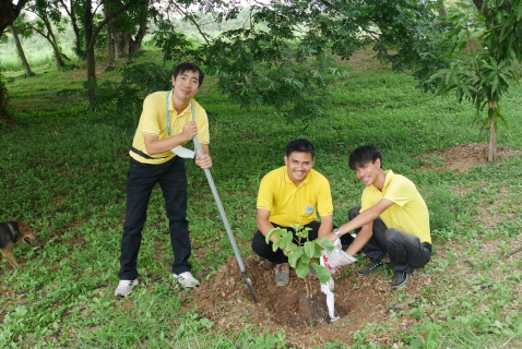 ไฟล์แนบ การประปาส่วนภูมิภาคสาขาปักธงชัย ร่วมเป็นส่วนหนึ่งของโครงการปลูกป่าเพื่อแผ่นดิน  Fathers Land 