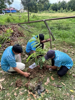 ไฟล์แนบ กปภ.สาขาบางมูลนาก  ปลูกป่าเพื่อแผ่นดิน เทิดพระเกียรติพระบาทสมเด็จพระบรมชนกาธิเบศร มหาภูมิพลอดุลยเดชมหาราช บรมนาถบพิตร (Fathers Land) ปี 2567