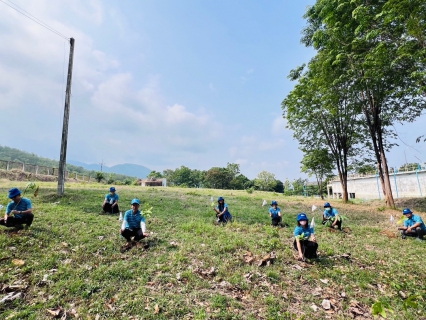 ไฟล์แนบ กปภ.สาขาหล่มสัก  ปลูกป่าเพื่อแผ่นดิน เทิดพระเกียรติพระบาทสมเด็จพระบรมชนกาธิเบศร มหาภูมิพลอดุลยเดชมหาราช บรมนาถบพิตร (Fathers Land) ปี 2567