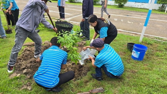 ไฟล์แนบ กปภ.สาขาอ้อมน้อย จัดกิจกรรมโครงการ กปภ.ปลูกป่าเพื่อแผ่นดิน เทิดพระเกียรติพระบาทสมเด็จพระบรมชนกาธิเบศรมหาภูมิพลอดุลยเดชมหาราช บรมนาถพิตร (Father's Land) ประจำปี 2567