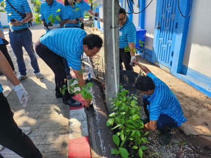 ไฟล์แนบ กปภ.สาขาสุราษฎร์ธานี(พ) จัดกิจกรรมกปภ.ปลูกป่าเพื่อแผ่นดิน เทิดพระเกียรติพระบาทสมเด็จพระบรมชนกาธิเบศร มหาภูมิพลอดุลยเดชมหาราช บรมนาถบพิตร (Father