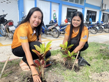 ไฟล์แนบ กปภ.สาขาสงขลา ดำเนินโครงการ กปภ.ปลูกป่าเพื่อแผ่นดิน เทิดพระเกียรติพระบาทสมเด็จพระบรมชนกาธิเบศร มหาภูมิพลอดุลยเดชมหาราช บรมนาถบพิตร (Father